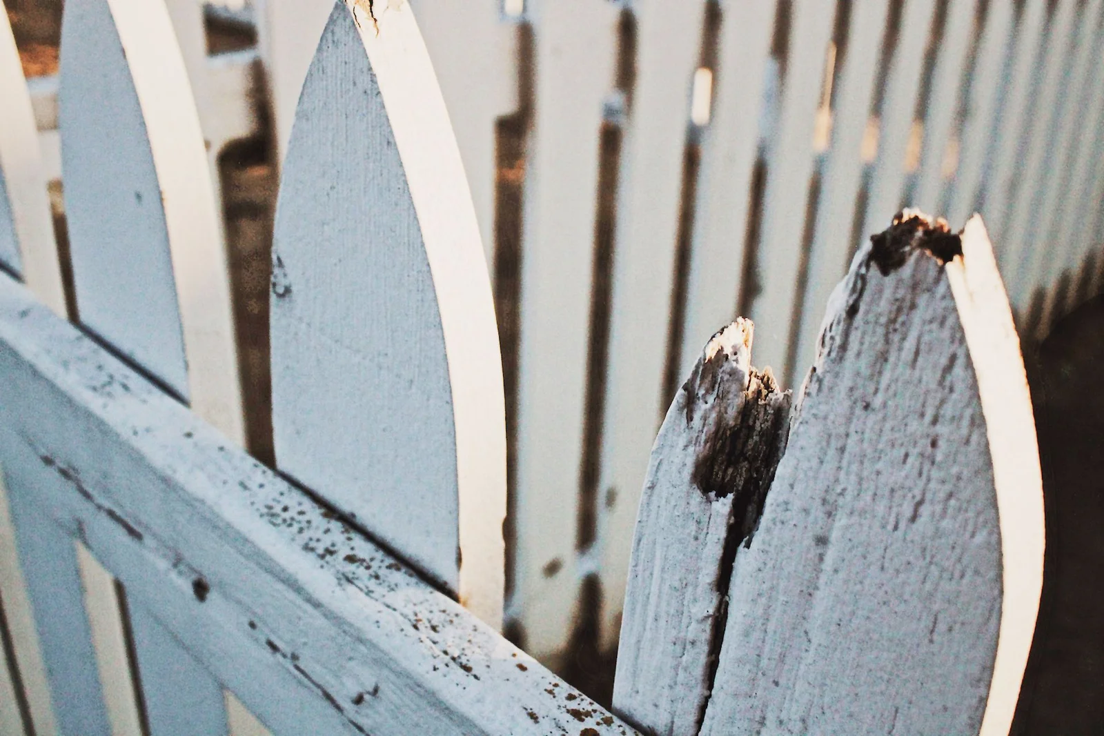 Professional fence repair Garner